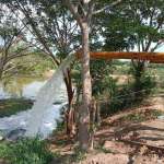 ช้างน้อย 8 CP-200 ( T )