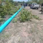 ช้างน้อย 8 CP-200 ( T )